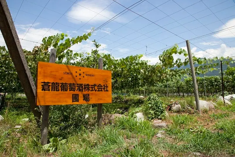 甲州蒼龍2