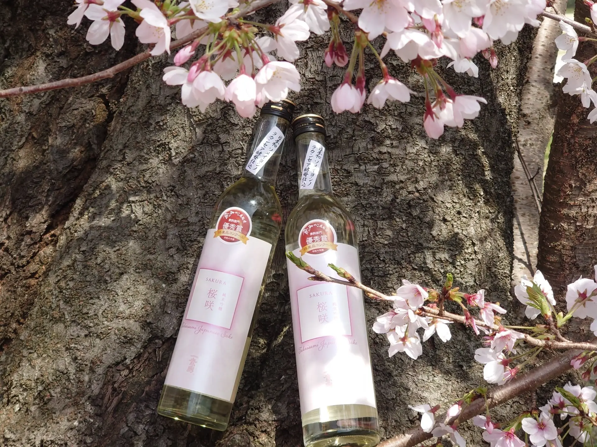 日本清酒 純米吟釀櫻崎 (櫻花酵母清酒) 優秀賞日本酒 鷹勇 13 Junmai Ginjo Sakura3