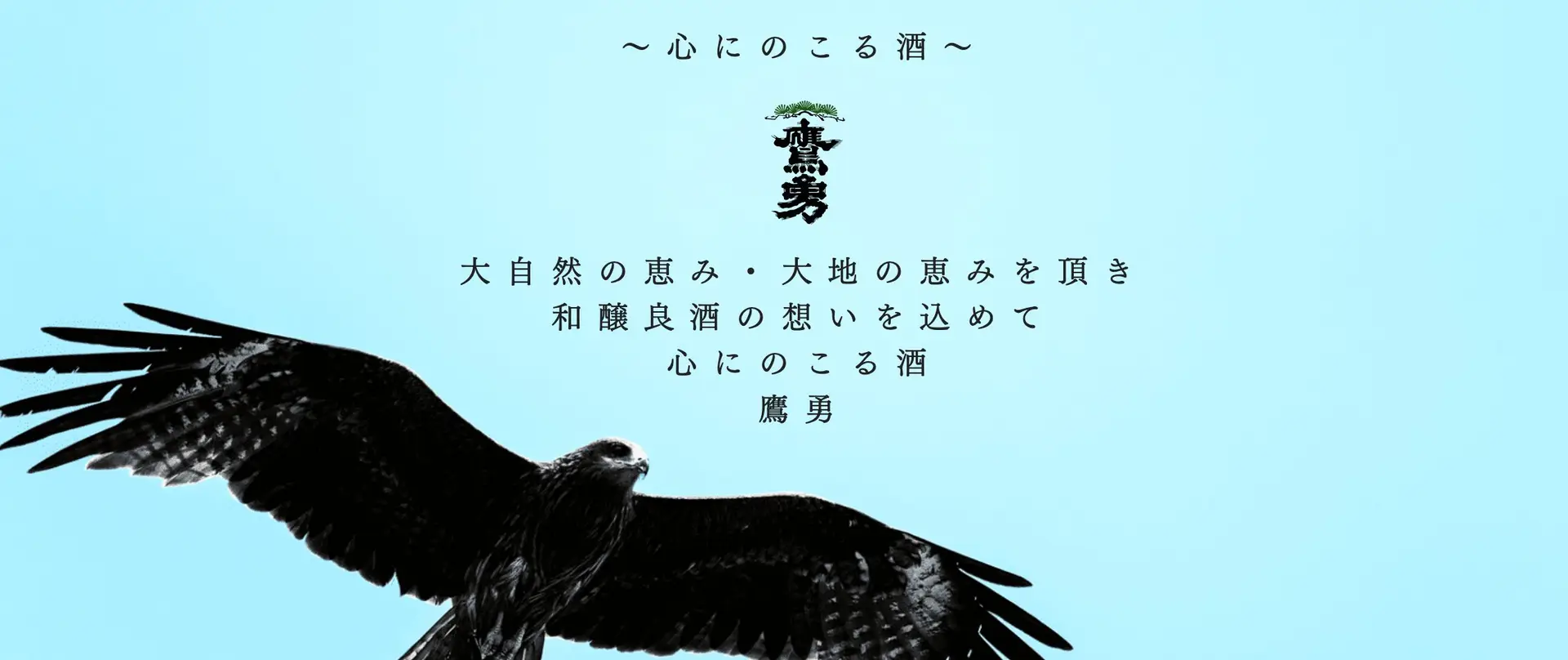 日本清酒 純米大吟醸 吟麗 鷹勇大谷酒造 5 banner 2