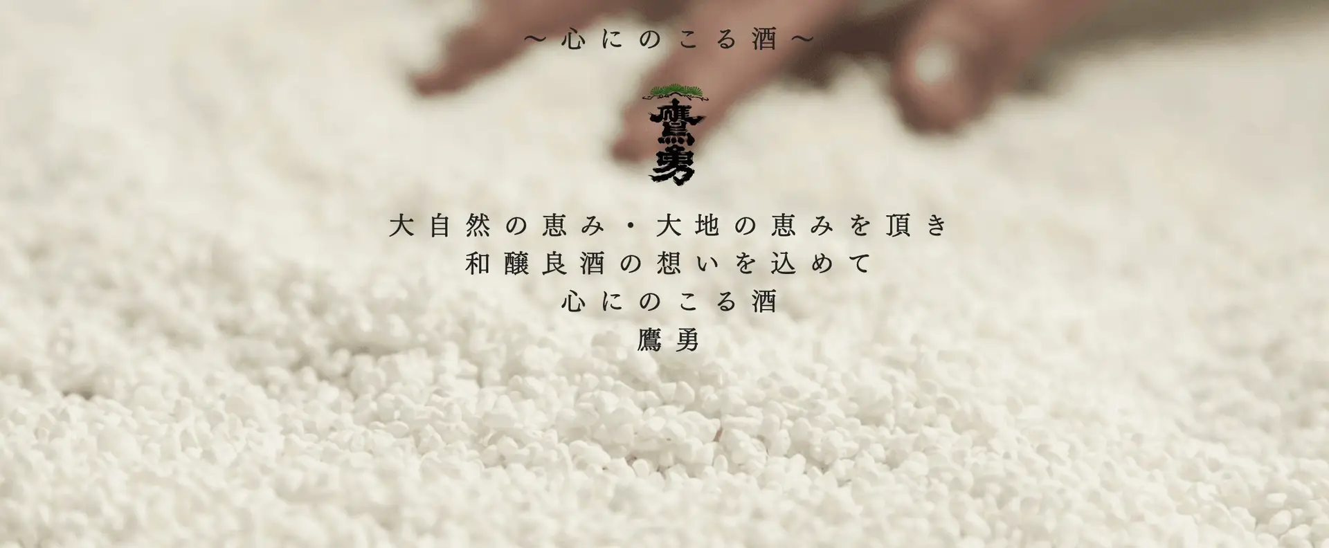 日本清酒 純米大吟醸 吟麗 鷹勇大谷酒造 13 banner 3